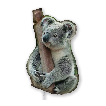 Balónik Koala