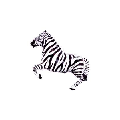 Balónik Zebra