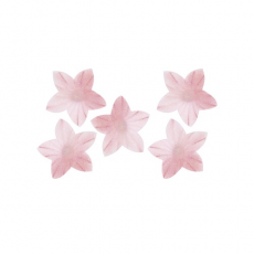 Oplátkový kvet mini ružový 2 cm
