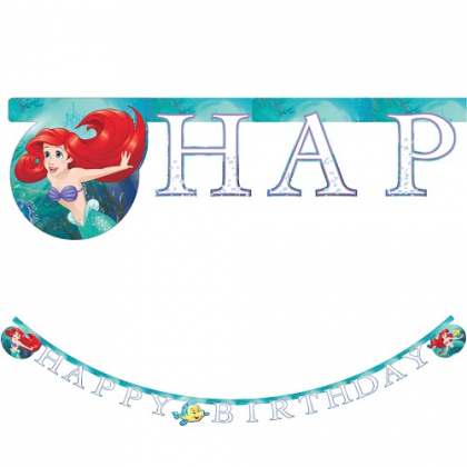 Banner Ariel