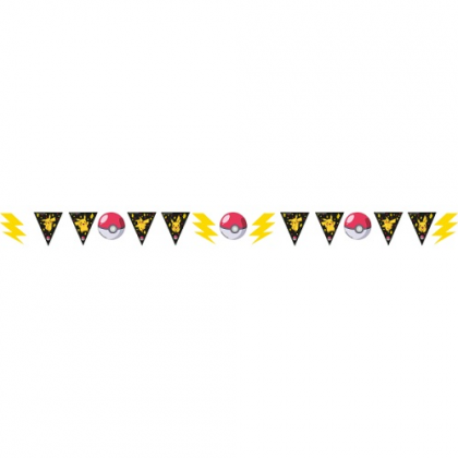 Banner Pokémon